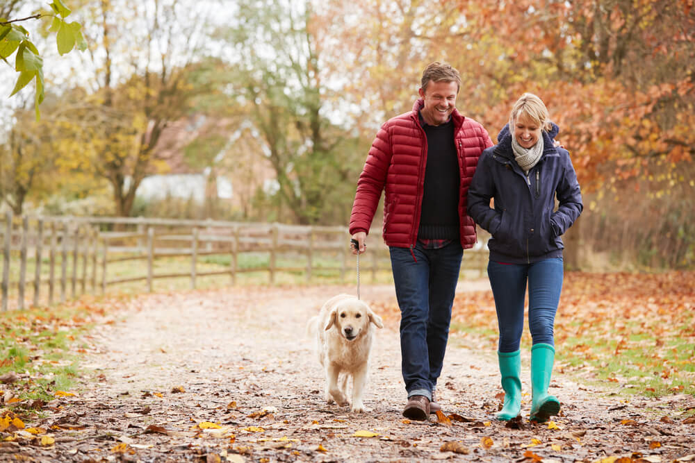 The Best Tricks To Help Keep Your Diet On Track This Fall